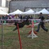 foire-haricots 2011-09-17et18